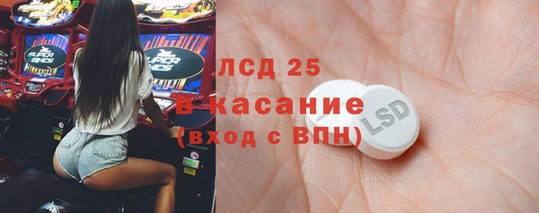 сатива Волоколамск