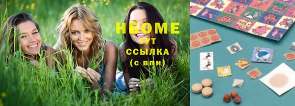 сатива Волоколамск