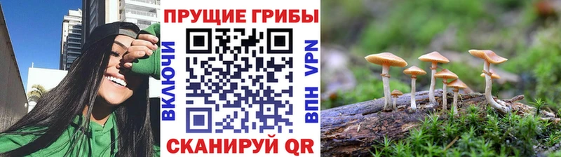 Галлюциногенные грибы прущие грибы  Липки 