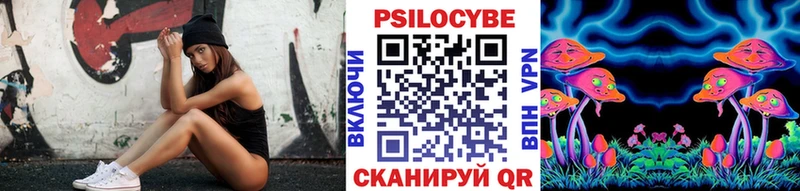 Псилоцибиновые грибы Cubensis Липки